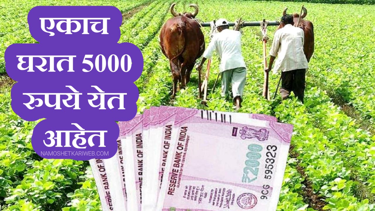 PM Kisan Yojana