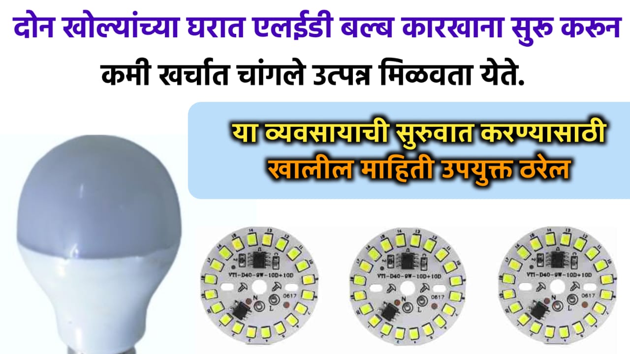 LED bulb business