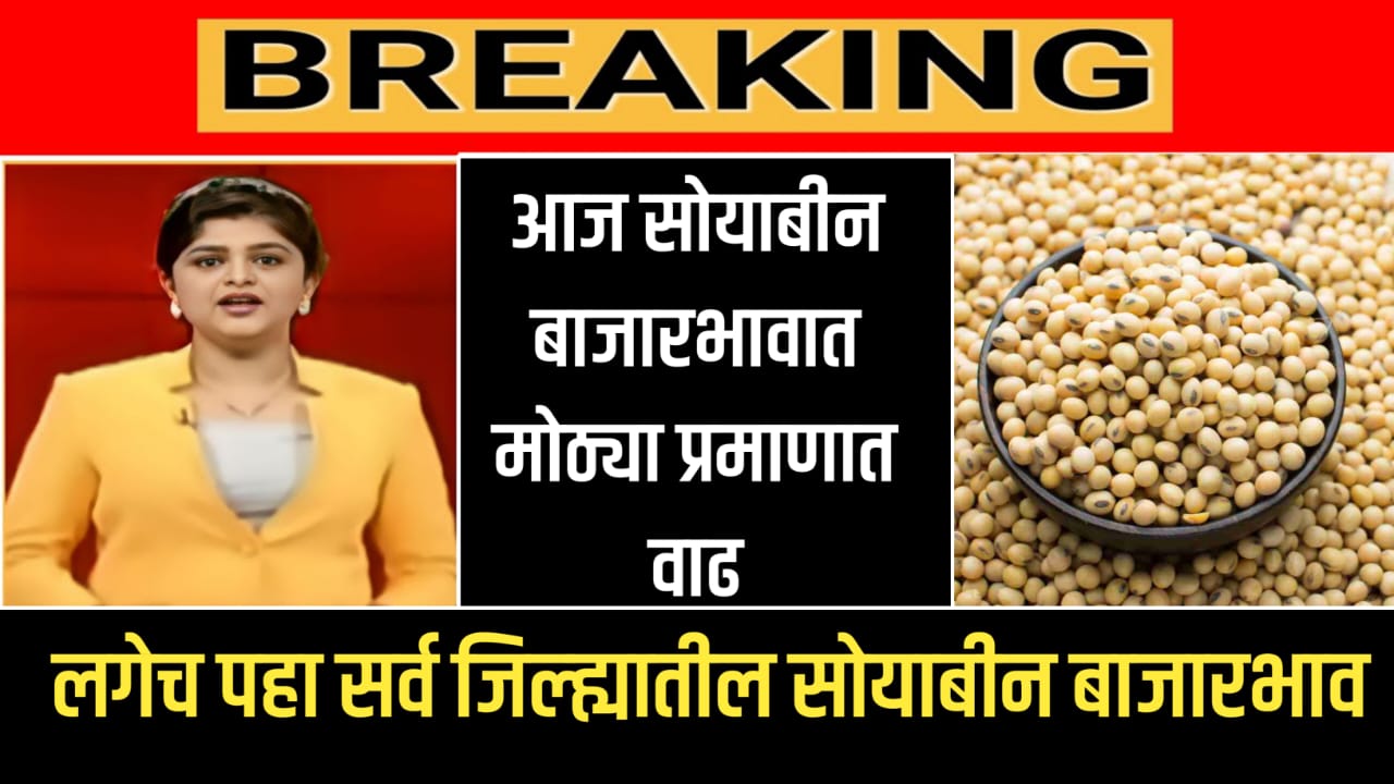 Soyabean Rate Today