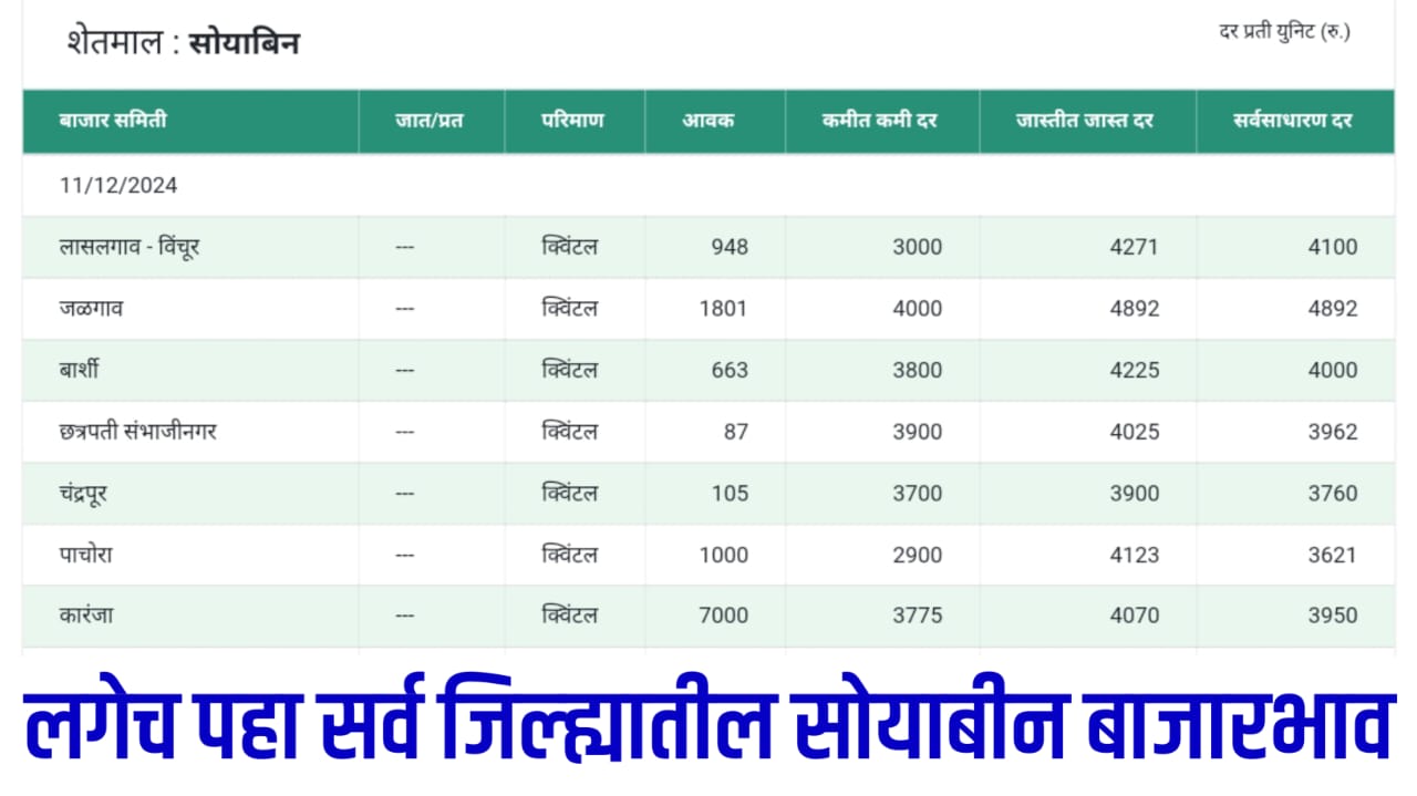 Soyabean Rate Today