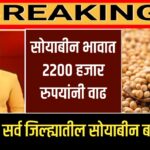 Soyabean Rate Today