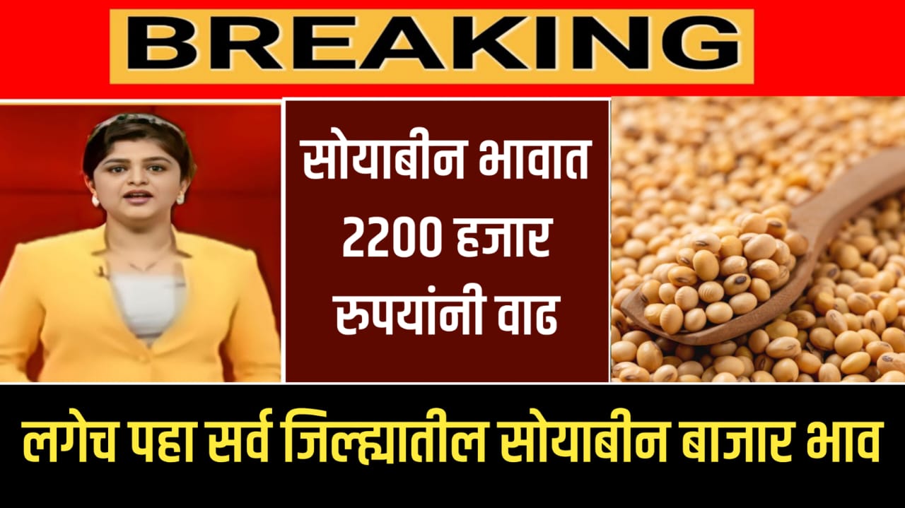 Soyabean Rate Today