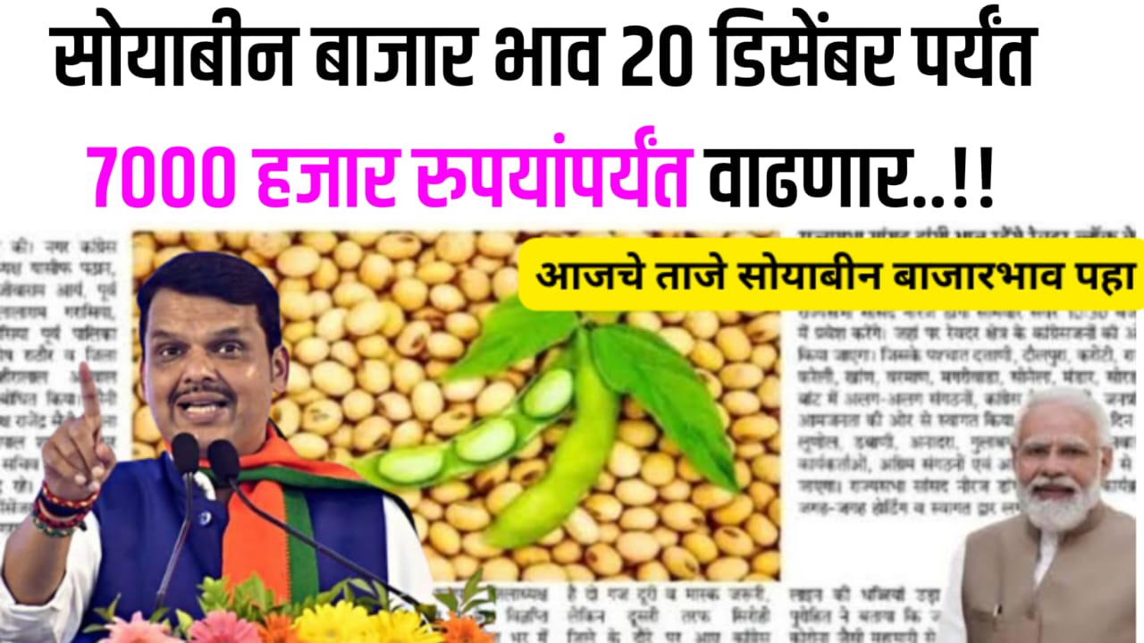 Soyabean Rate Today